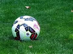 海港,与榜首并列,浙江,广州赛马会,赛程安排,赛马赛事,马匹资料,活动资讯