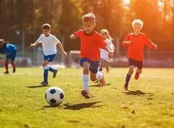 海港,与榜首并列,浙江,广州赛马会,赛程安排,赛马赛事,马匹资料,活动资讯